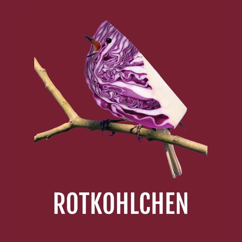 Rotkohlchen Meme Vogel Rotkelhlchen
