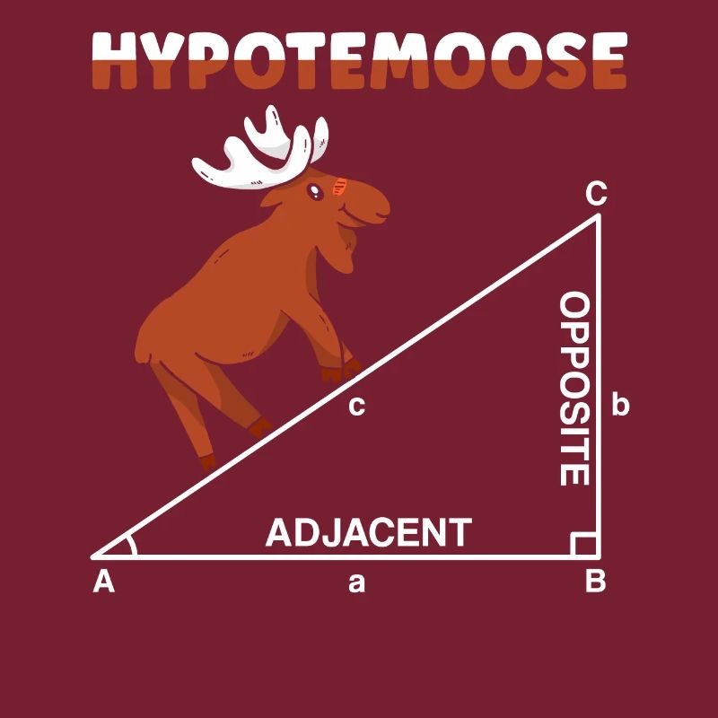 Hypotemoose Mathematik Lehrer Mathematik Mathematician Math