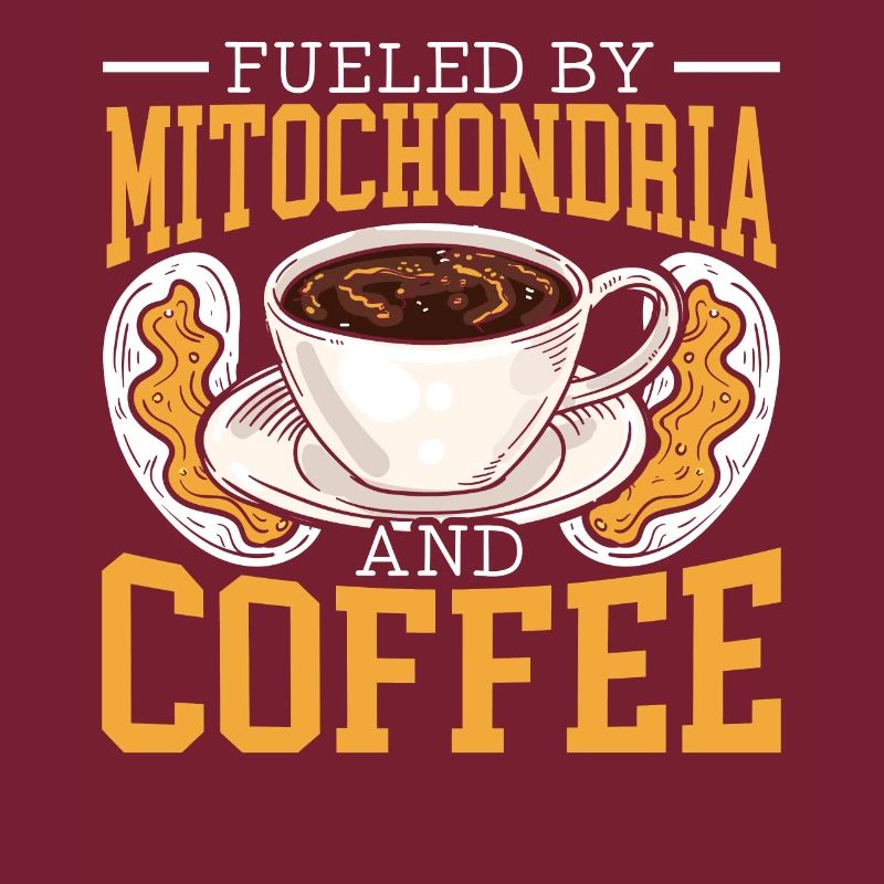 Alimenté par les mitochondries et la science du café