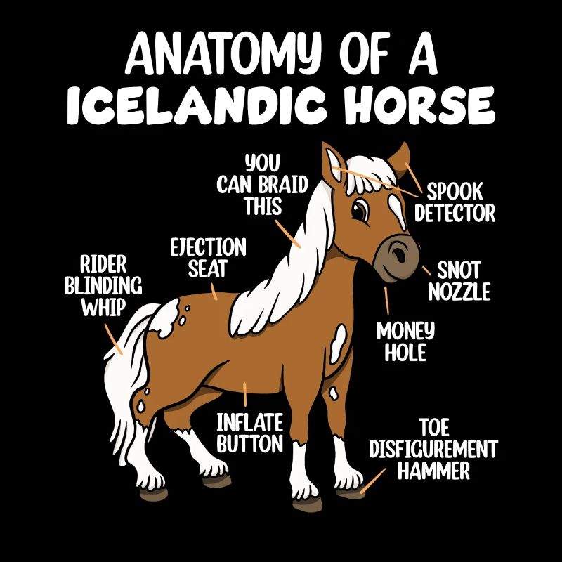 Anatomie eines Islandpferdes