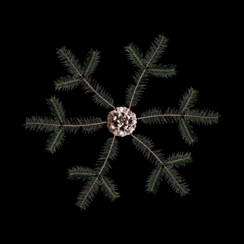 Flocon de neige de branches de sapin