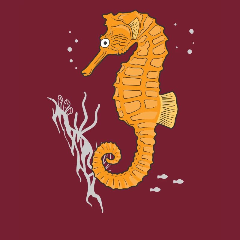 Seepferdchen Seepferd Geschenk