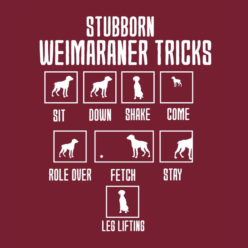 Weimaraner
