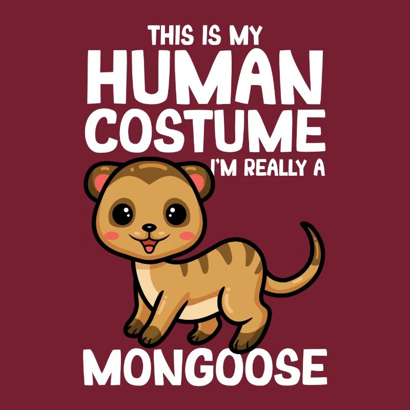 Mangoustes Mangoustes Suricates