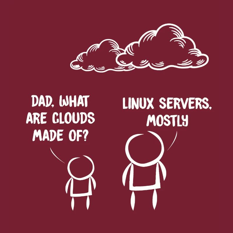 Computer IT Joke Funny Programmer Geek Linux