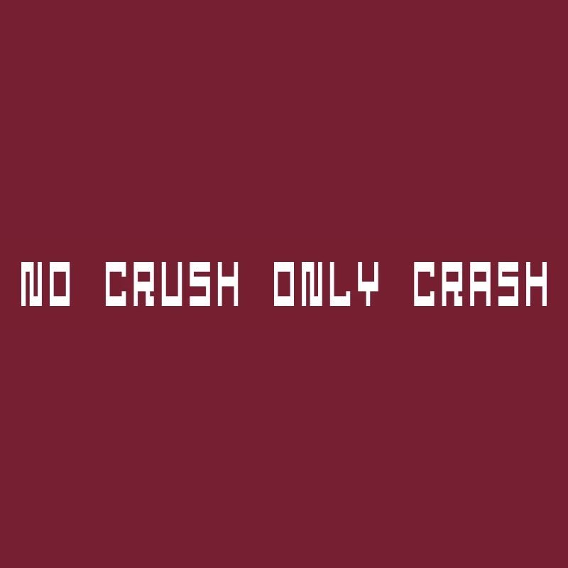 No crush only crash computer scientist gift