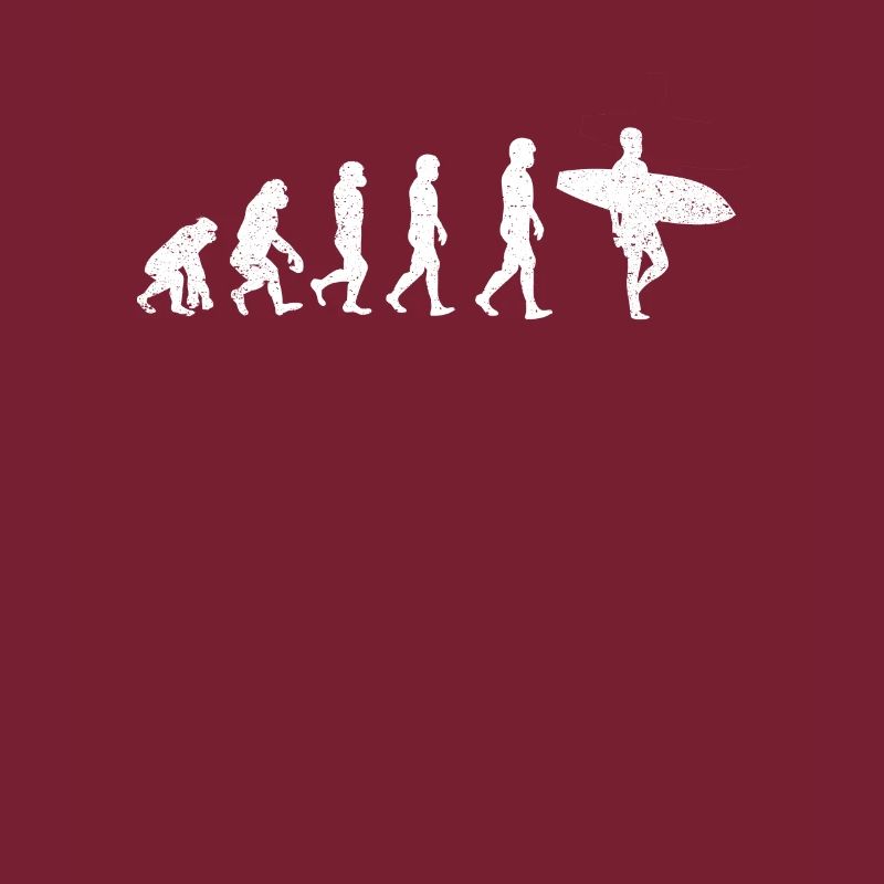 Surfen Evolution