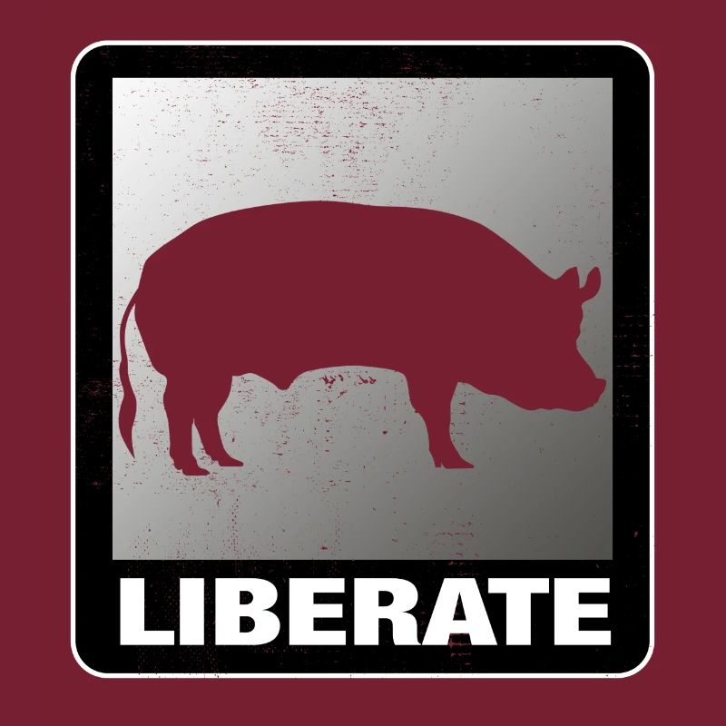Libérer le cochon de libération animal végétalien