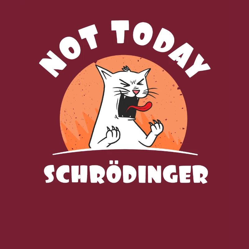 Physics Physicist Student