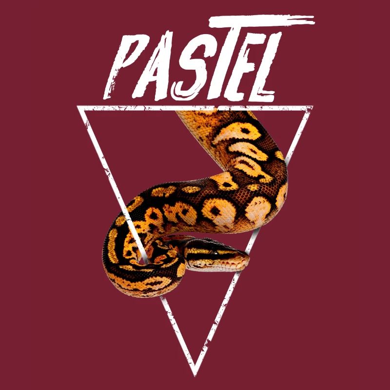 Pastel Ball Python Besitzer