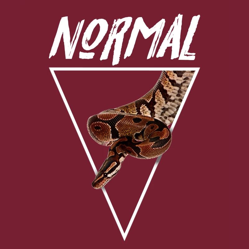 Normaler Ball Python Morph Schlange Besitzer