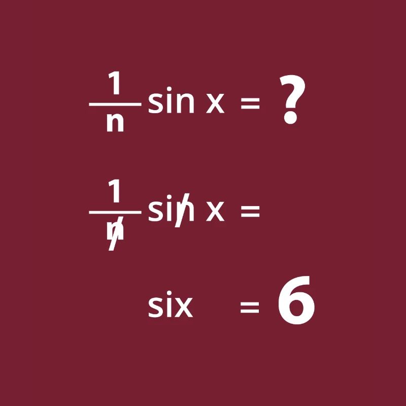 Science Funny Math Equation Physics Joke Pun Gift