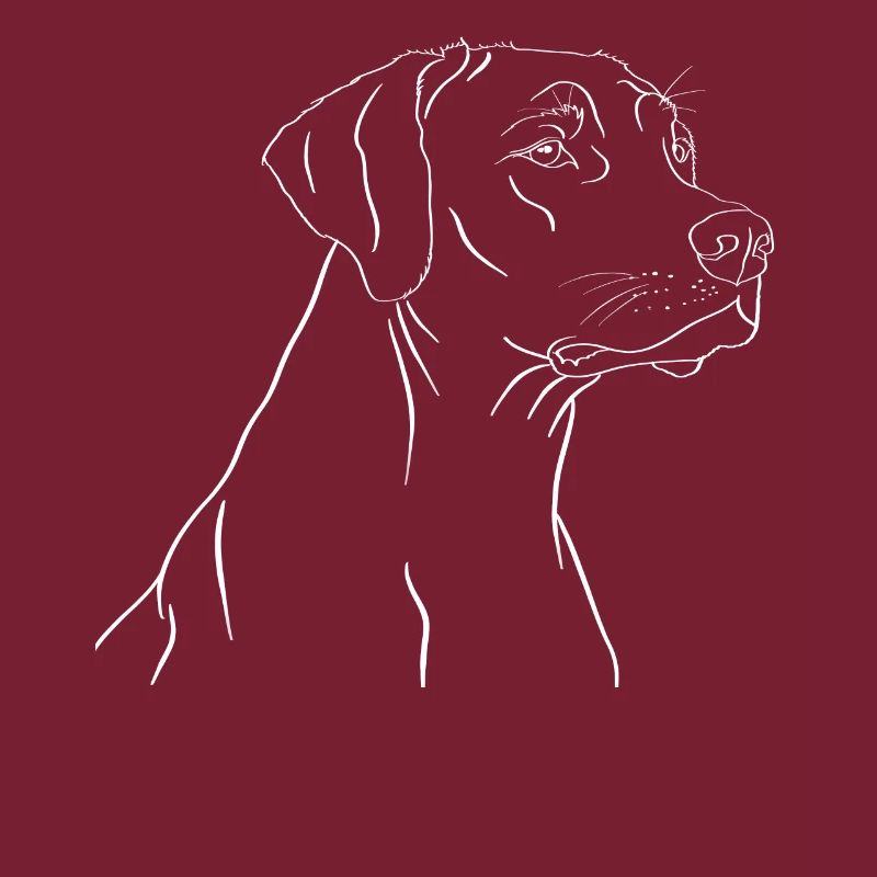 Rhodesian Ridgeback Rüde Geschenk