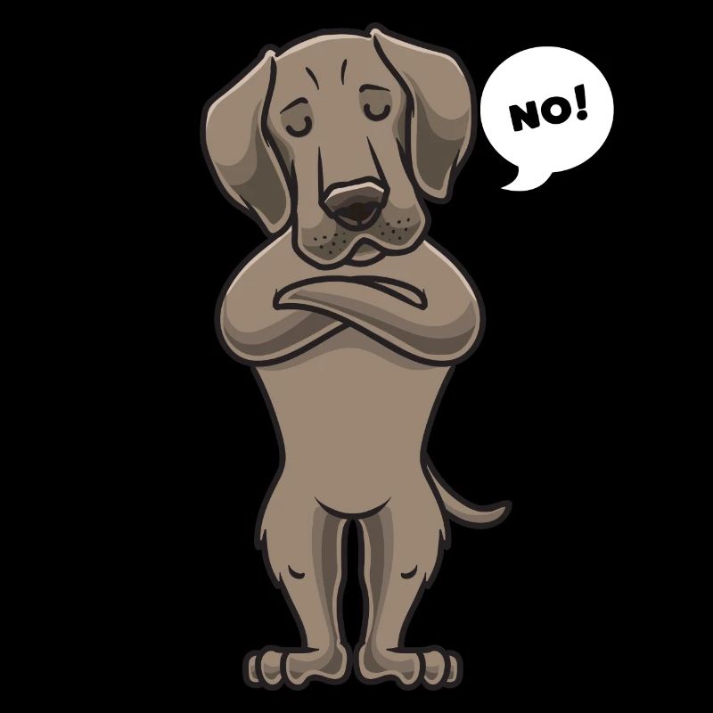 Chien de Weimaran stuer