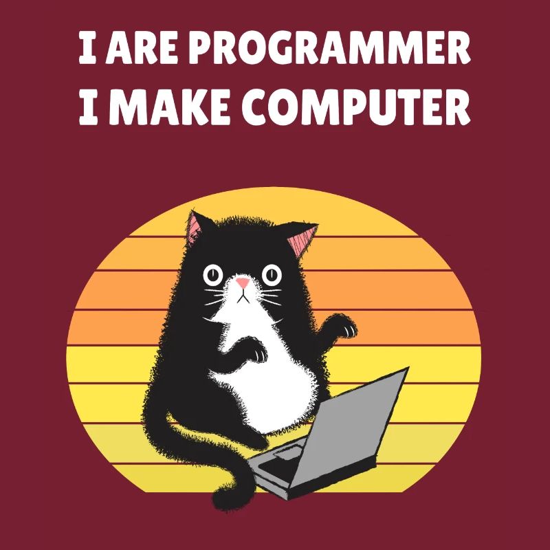 I are Programmer I Make Computer