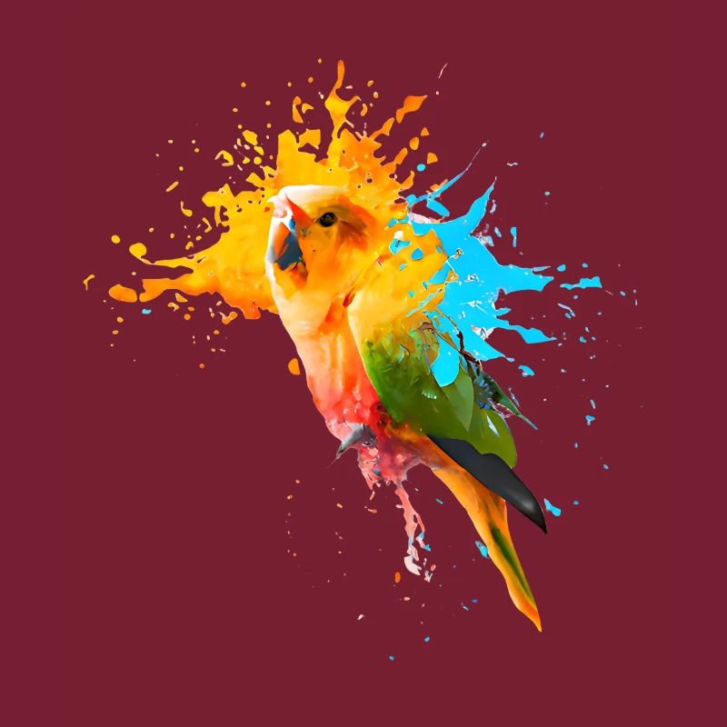 Papagei - Farbexplosion