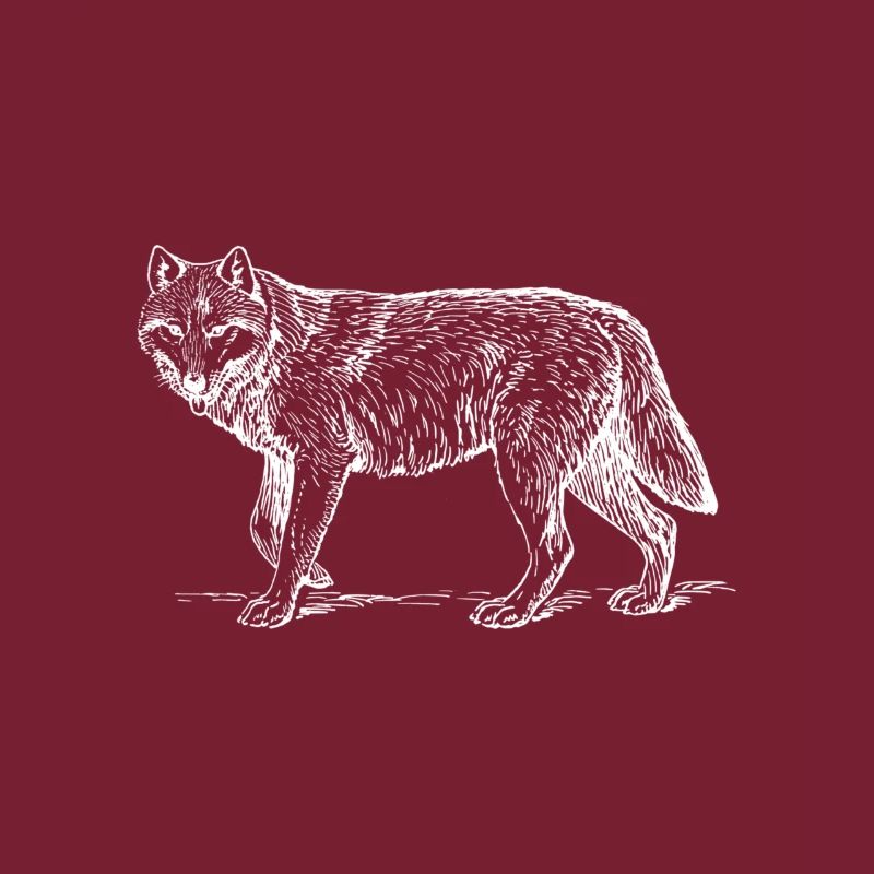 wolf