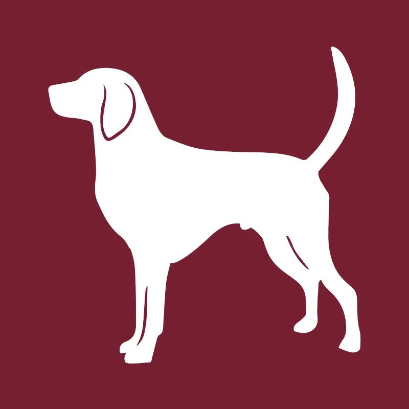 American Foxhound