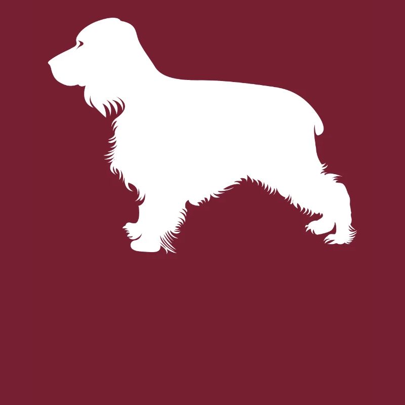 Englischer Cocker Spaniel