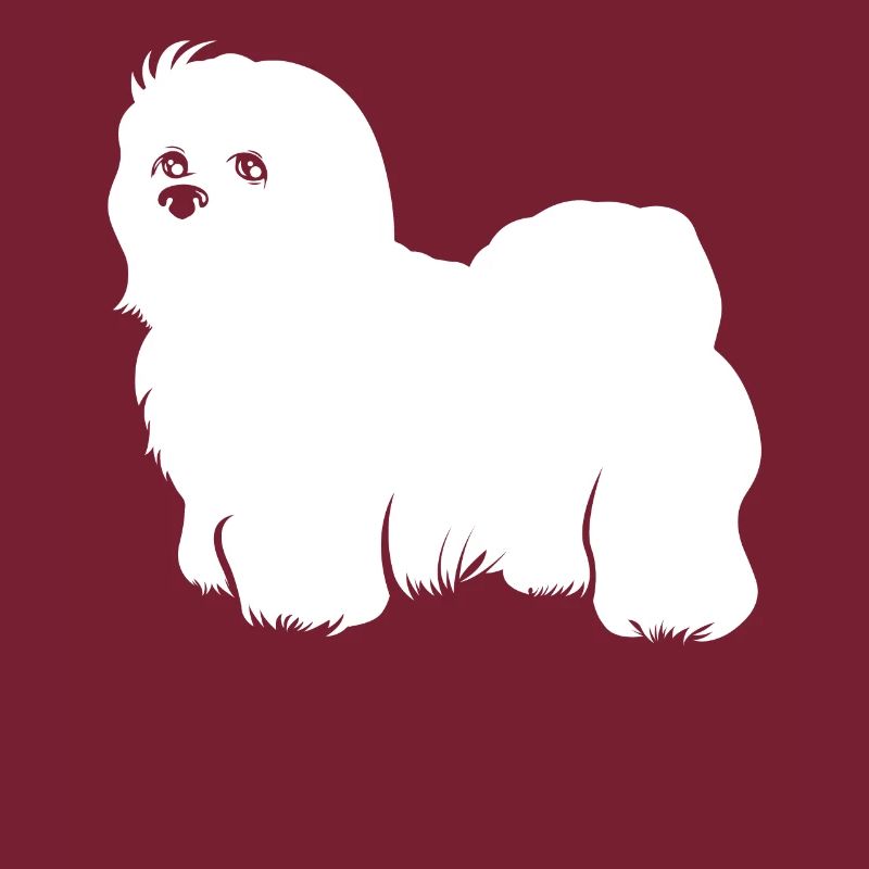 Coton de Tulear