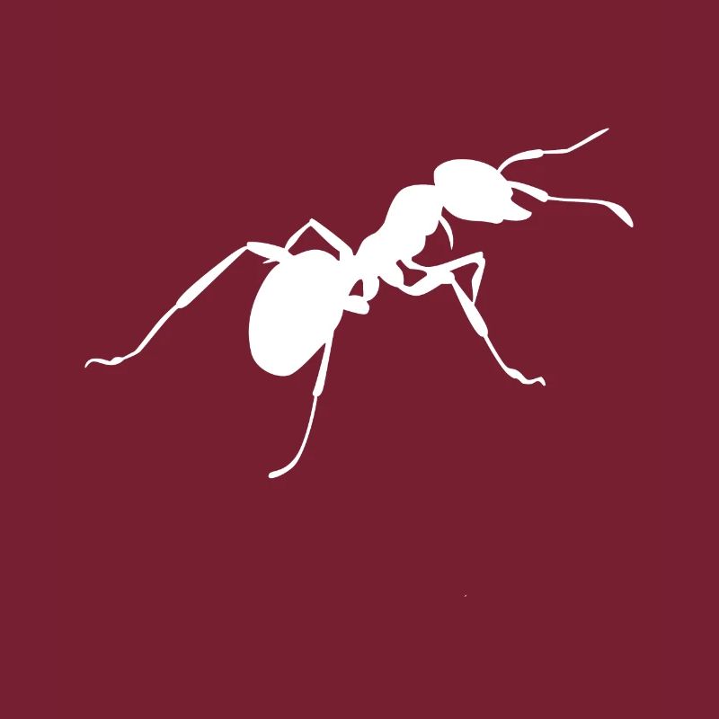 Fourmis