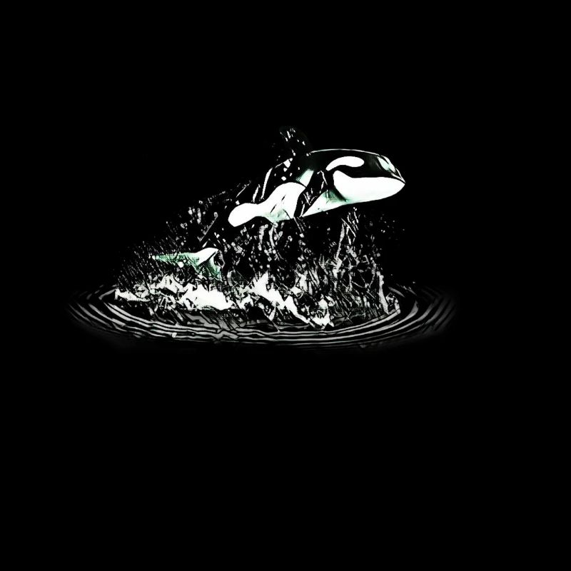 Killer whale
