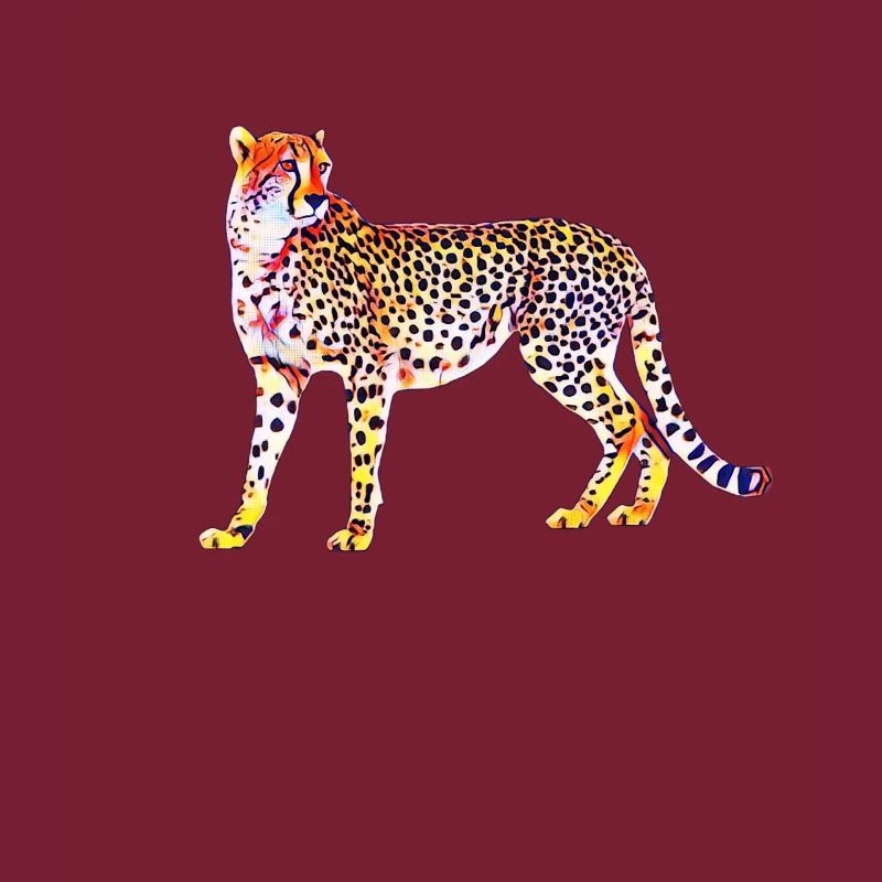 guépard