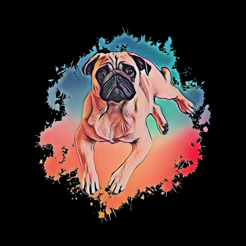 pug
