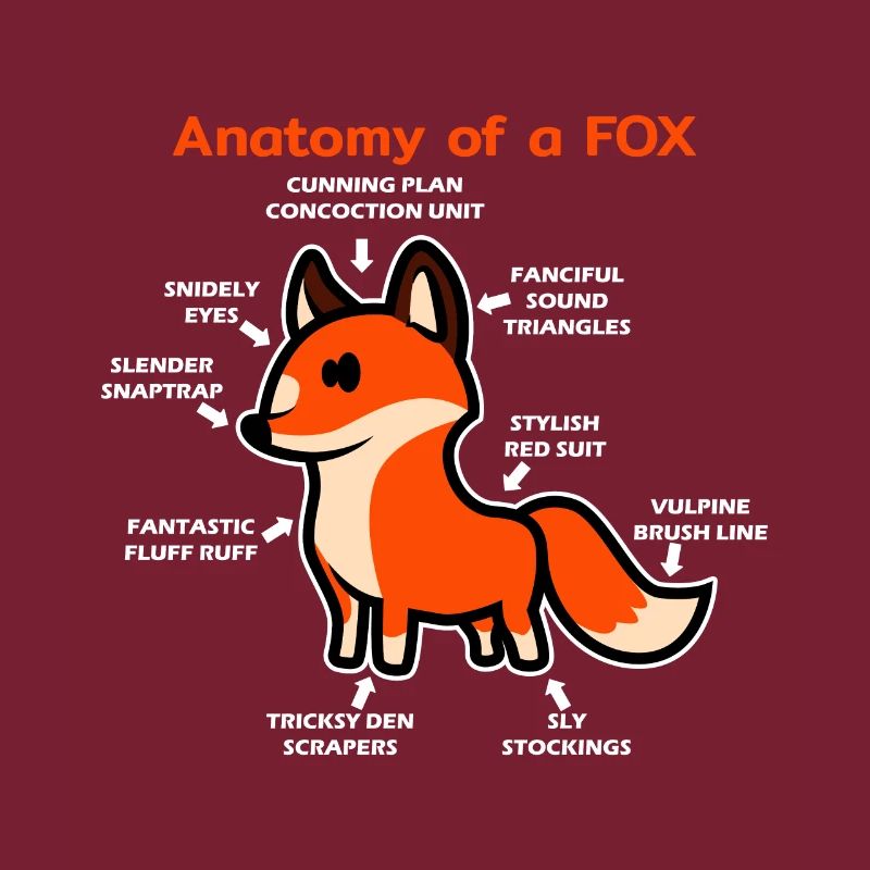 Anatomie eines Fuchs