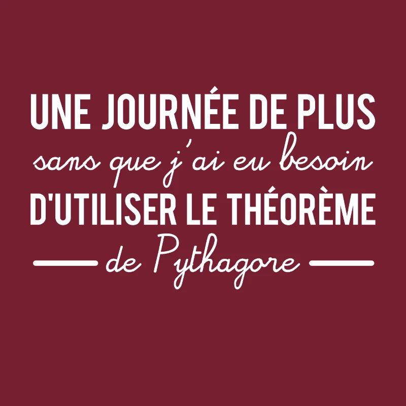 Une journée sans utiliser le théorème de pythagore