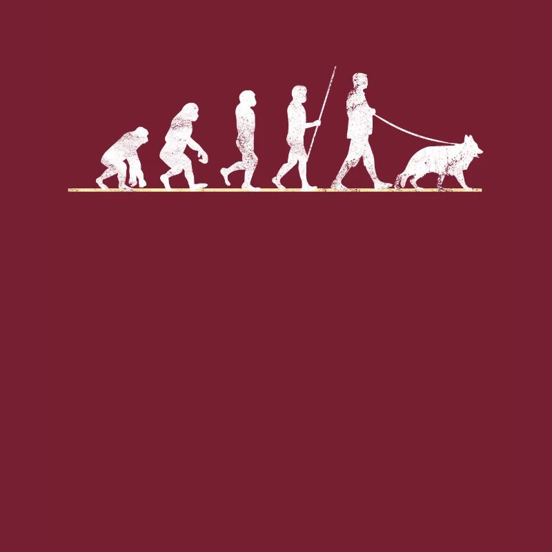 Chien de berger allemand Evolution