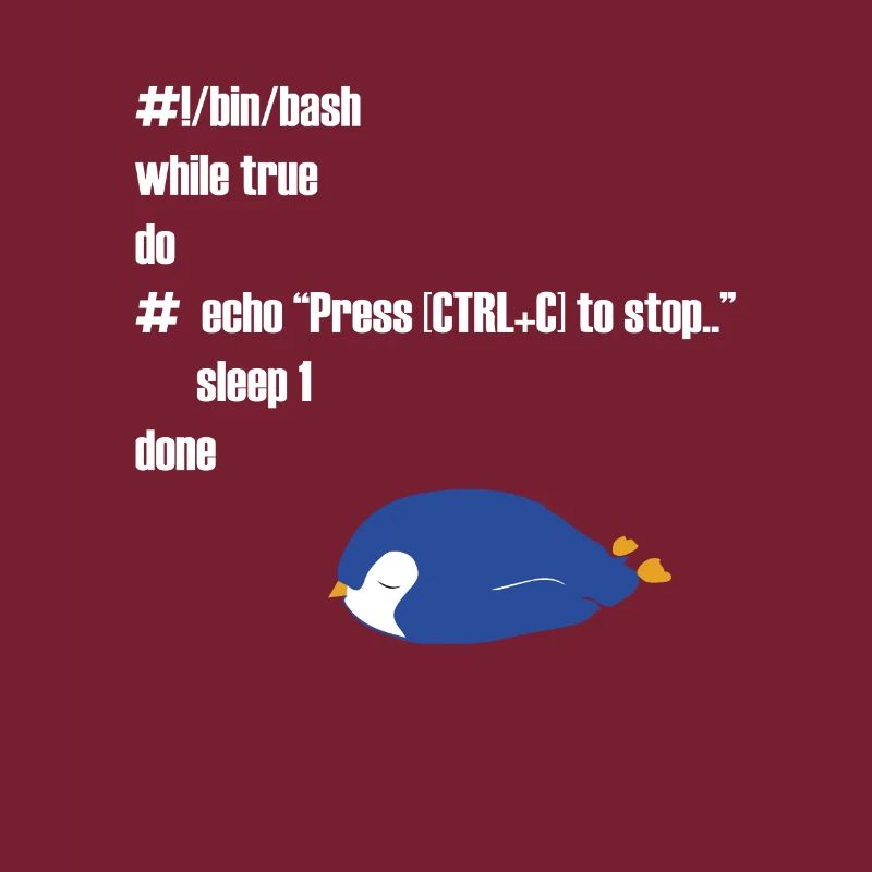 Funny Linux programmer computer scientist gift