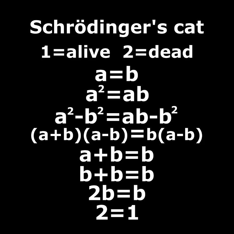 Schrödinger’s chat physique Geek prof sort
