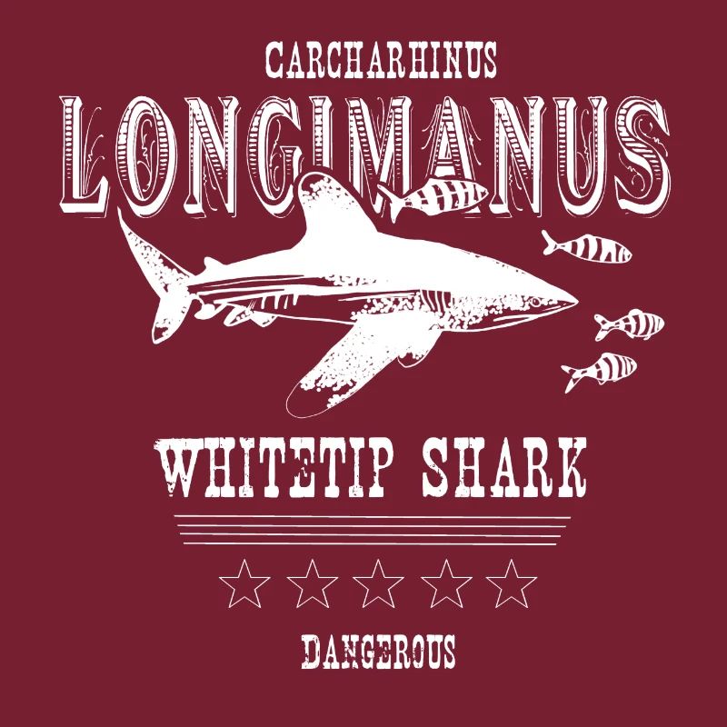 requin whitetip longimanus - requin - requin de haute mer