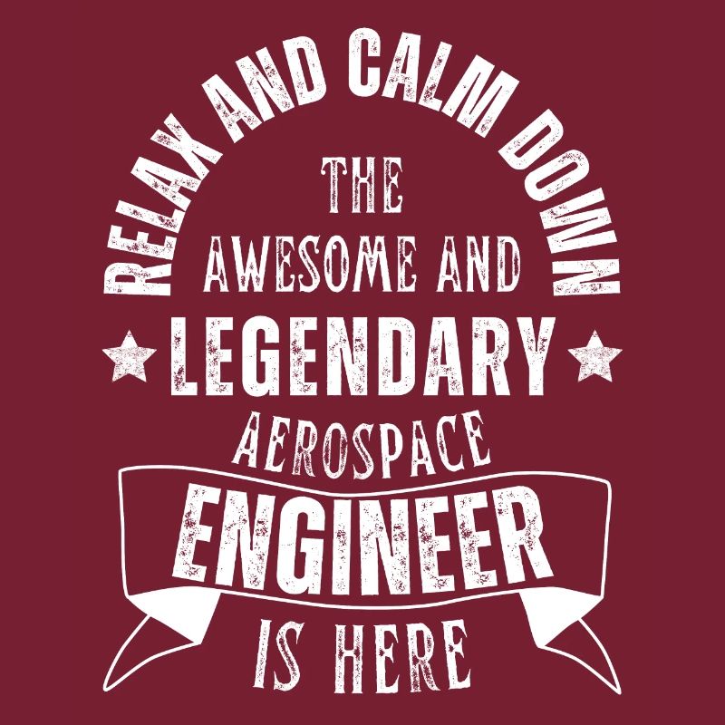Legendary Aerospace Engineer Profession