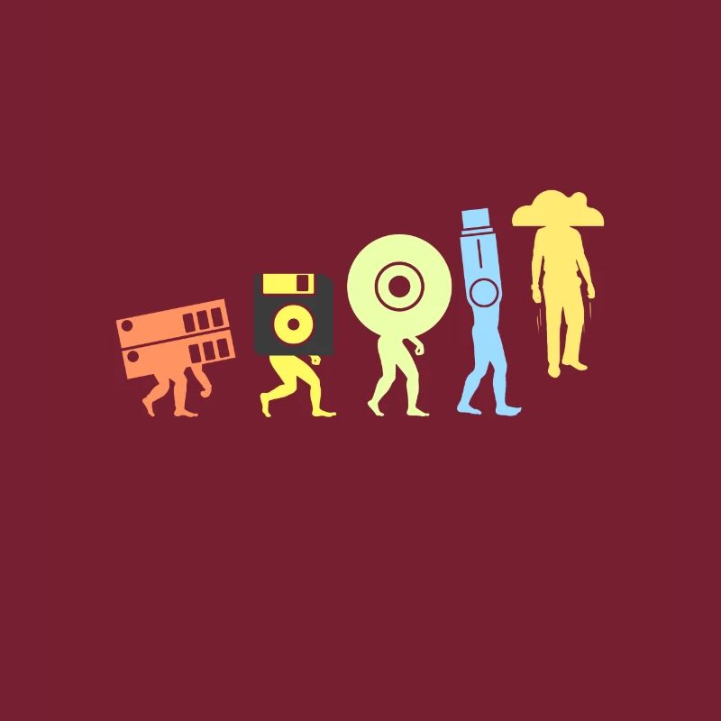 Evolution Datenspeicherung Cloud Programmierung