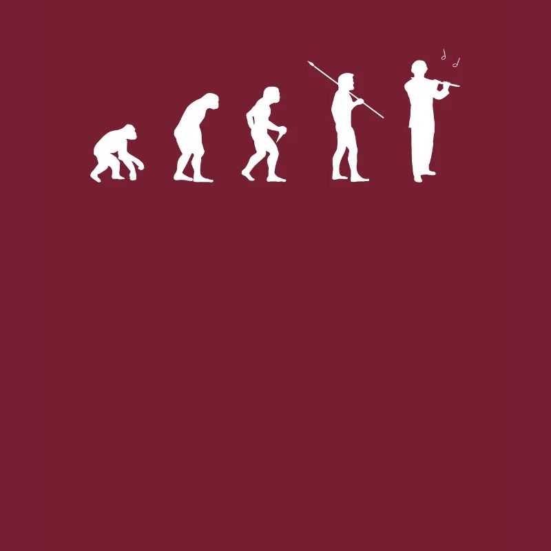 Flöte Flötisten Flötenspieler Evolution Querflöte