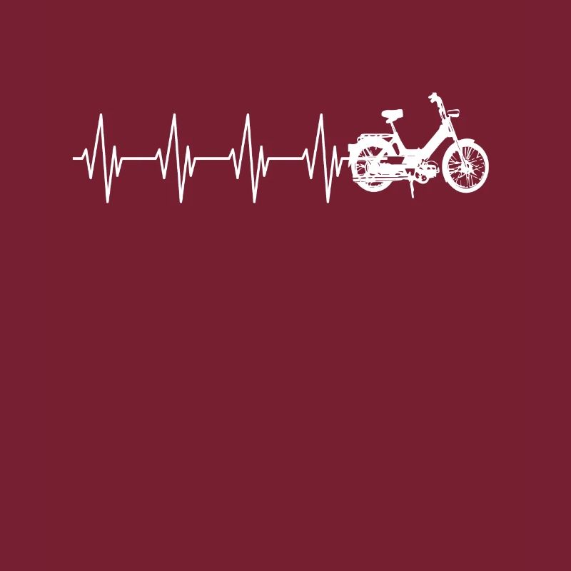 DDR Moped Oldtimer Roller Mofa Scooter 2 Takter