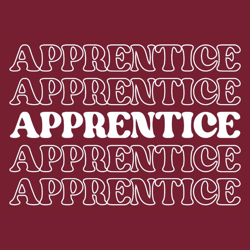 Apprentice Trainee Apprentice Novice Learner