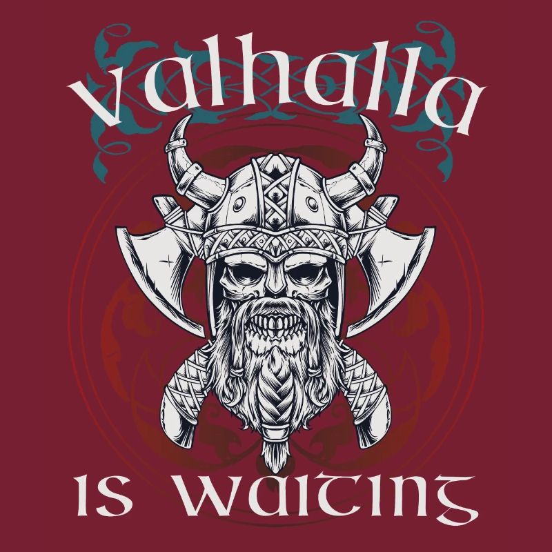 Viking Valhalla is waiting Nordmann warrior
