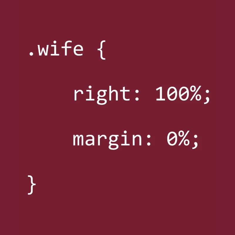 CSS Wife Right Softwareentwickler Developer