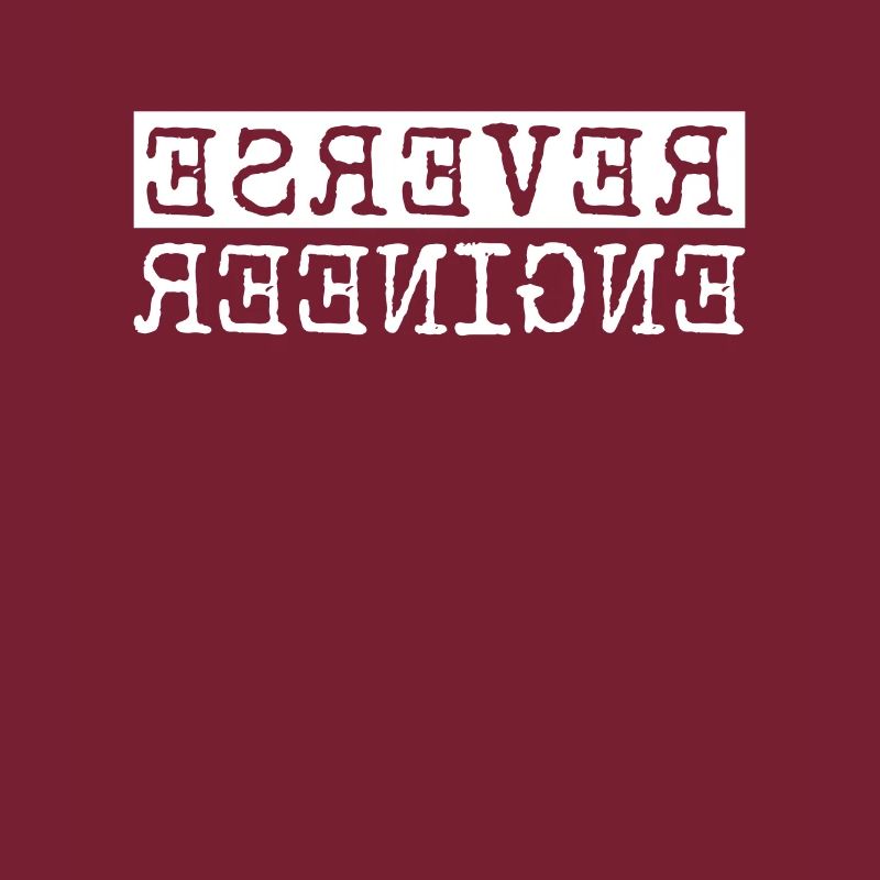 Reverse Engineer Software Engineer Developer