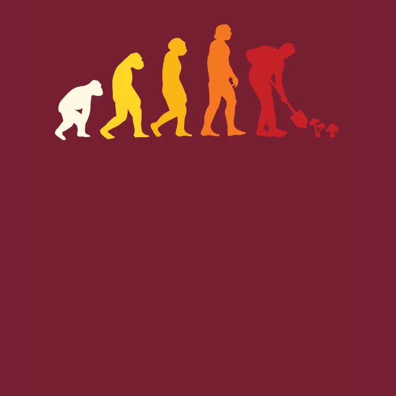 Évolution du cueilleur de champignons