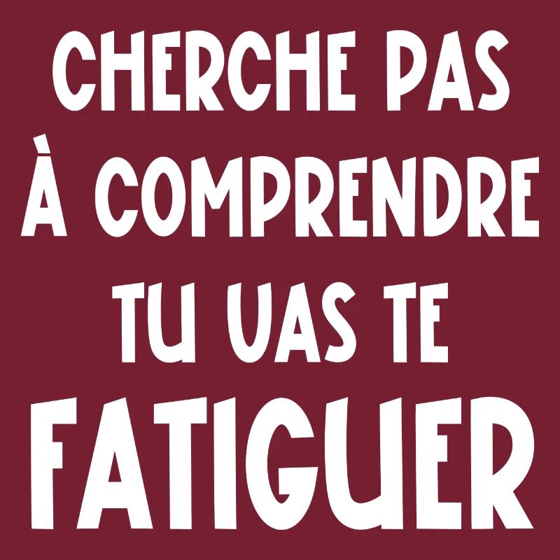 cherche pas à comprendre