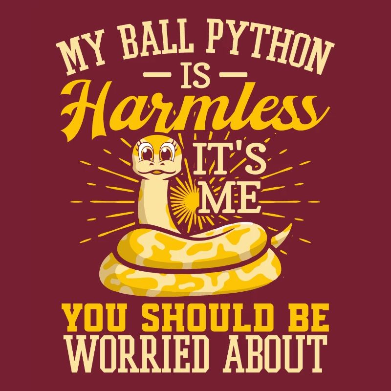 Königspython Schlange Python