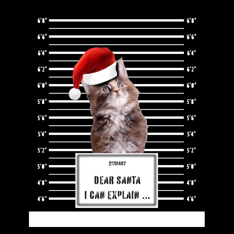 dear santa i can explain cat ugly Christmas