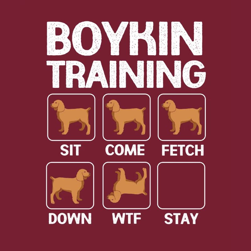 Boykin Spaniel