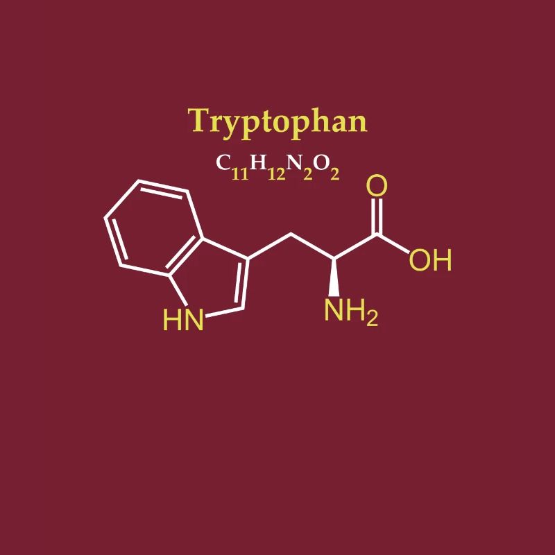 Tryptophane Molécule