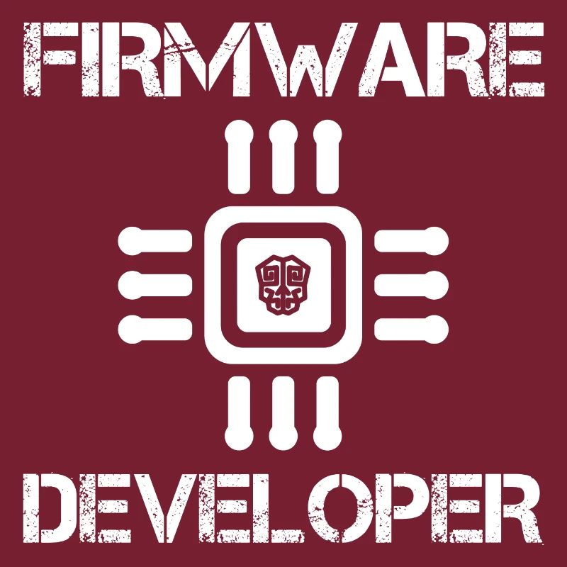 Firmware developer