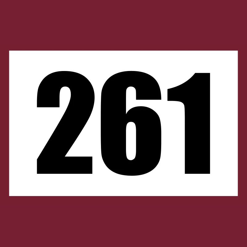 Start number 261